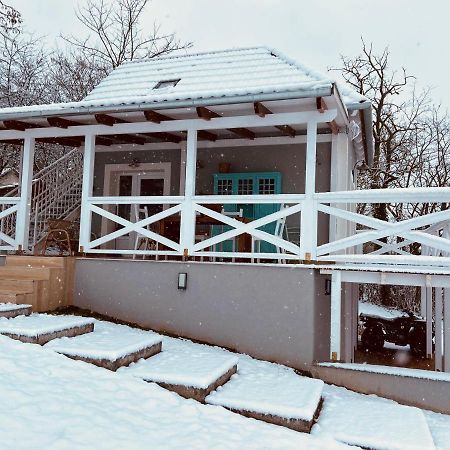 Dandelion "Zsalya" Vendeghaz Βίλα Kisapati Εξωτερικό φωτογραφία